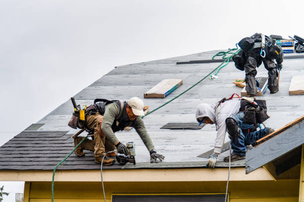 Professional Gutter Installation technician working in Nallen, WV